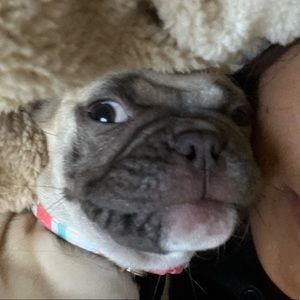 Meet your Posher, Vanessa